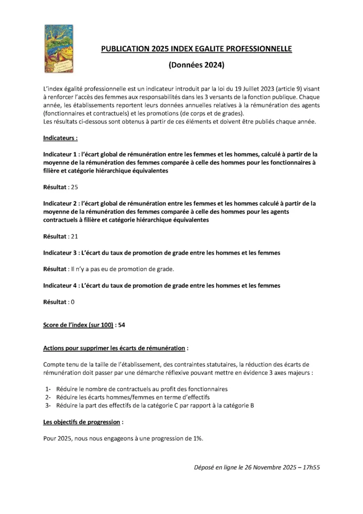 INDEX EGALITE PROFESSIONNELLE
